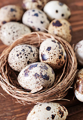 Image showing quail eggs