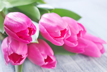 Image showing tulips