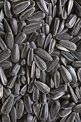 Image showing sunflower seed