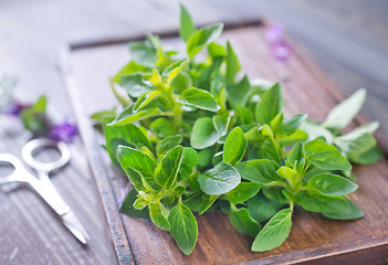 Image showing aroma herbs