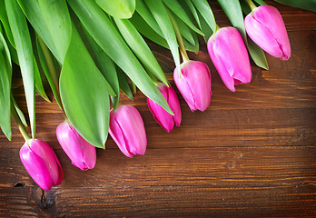 Image showing tulips