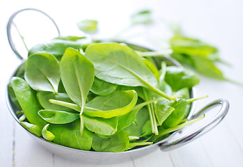 Image showing spinach