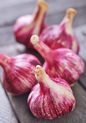 Image showing garlic