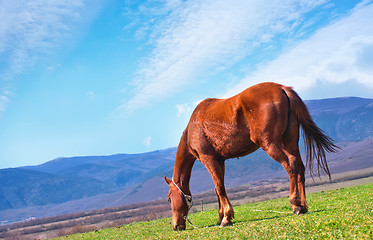 Image showing nature