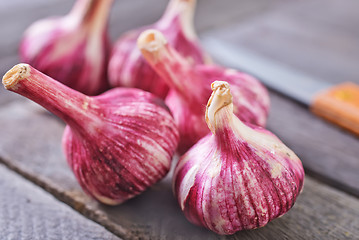 Image showing garlic