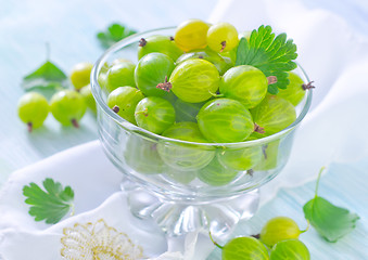 Image showing gooseberry