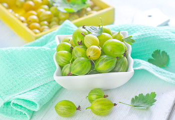 Image showing gooseberry