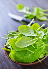 Image showing fresh spinach