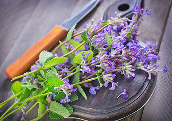 Image showing aroma herb