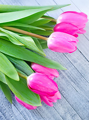 Image showing tulips