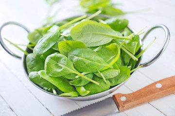 Image showing spinach