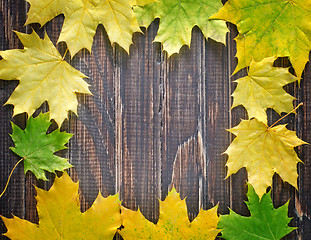 Image showing yellow leaves