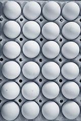 Image showing raw eggs