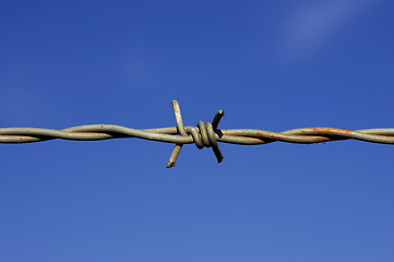 Image showing Barbed wire fence detail