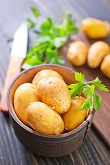 Image showing potato