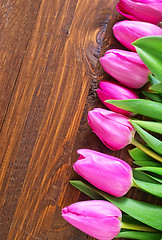 Image showing tulips