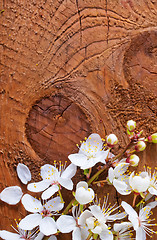 Image showing flowers on wooden background