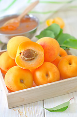Image showing fresh apricots and gam