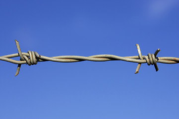 Image showing Barbed wire fence detail