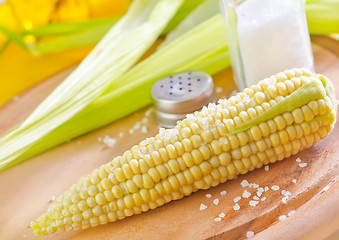 Image showing Corn with salt