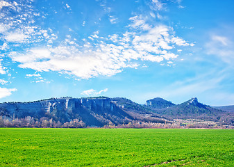 Image showing grass and sky