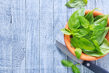 Image showing fresh basil