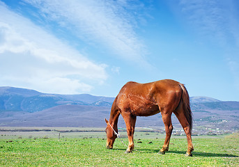 Image showing nature