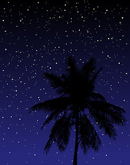 Image showing Under the stars