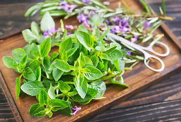 Image showing aroma herbs