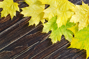 Image showing yellow leaves