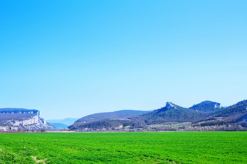 Image showing grass and sky