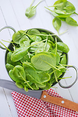 Image showing spinach