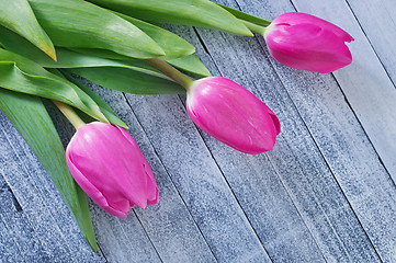 Image showing tulips