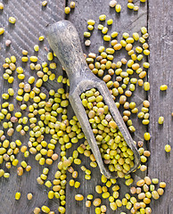 Image showing mung beans