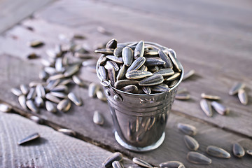 Image showing sunflower seed