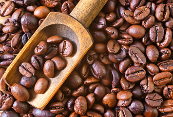 Image showing coffee beans