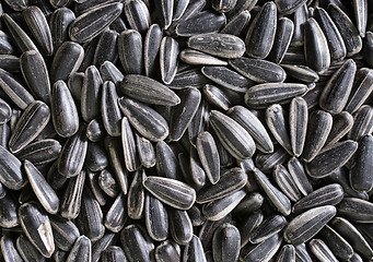 Image showing sunflower seed