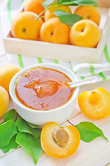 Image showing fresh apricots and gam