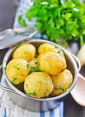Image showing potato