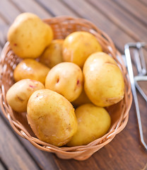 Image showing raw potato