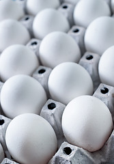 Image showing raw eggs