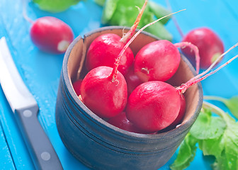 Image showing radish