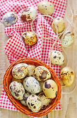 Image showing quail eggs