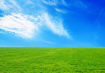 Image showing grass and sky