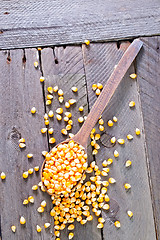 Image showing dry corn