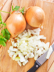 Image showing onion