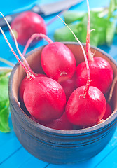 Image showing radish