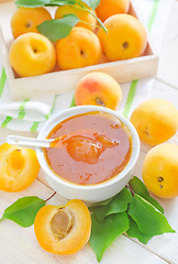 Image showing fresh apricots and gam