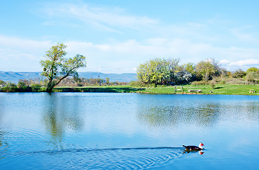 Image showing Lake in Crimea