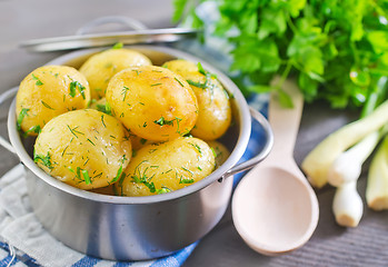 Image showing potato